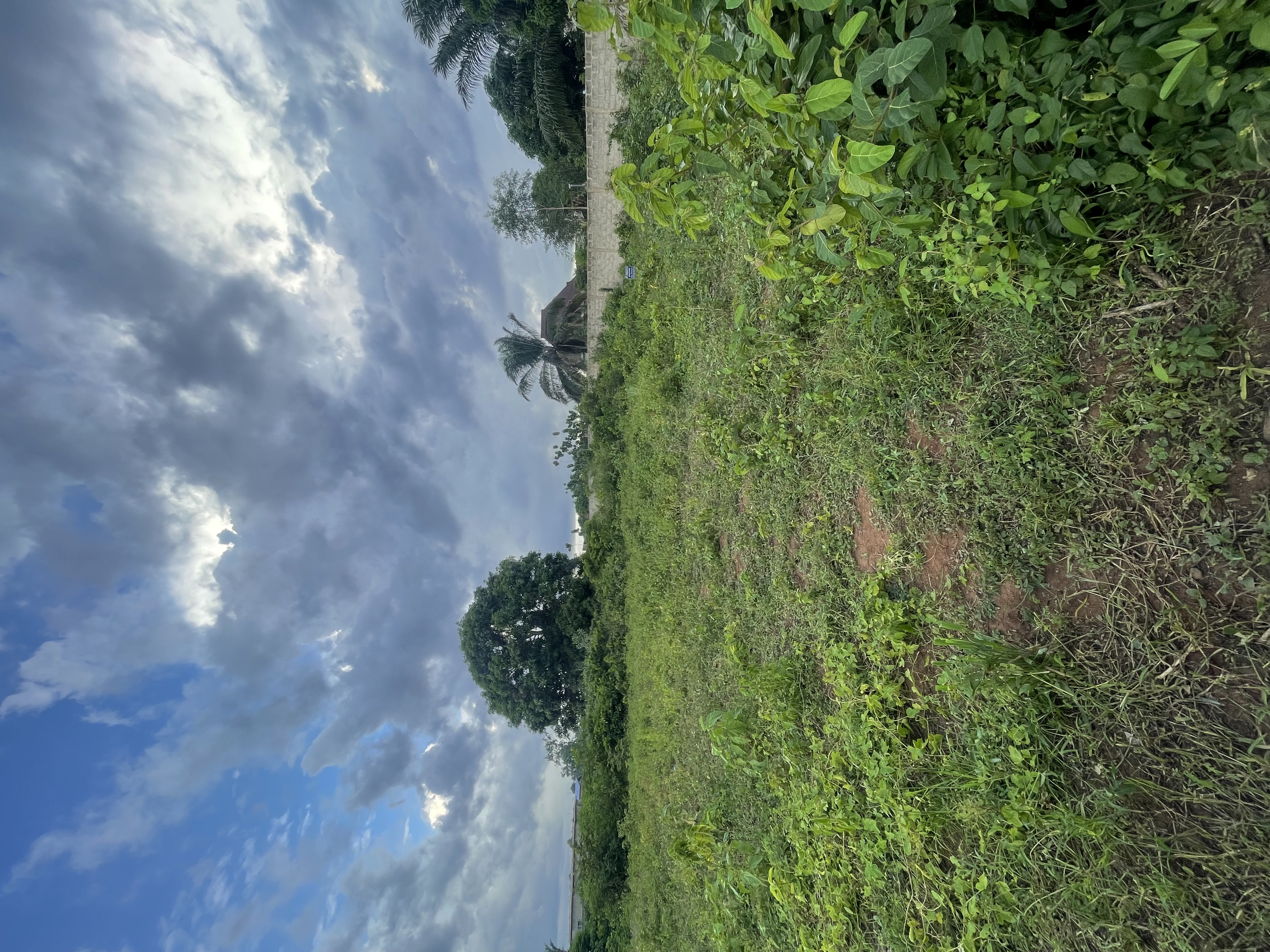 Parcelle à Calavi TOGBA